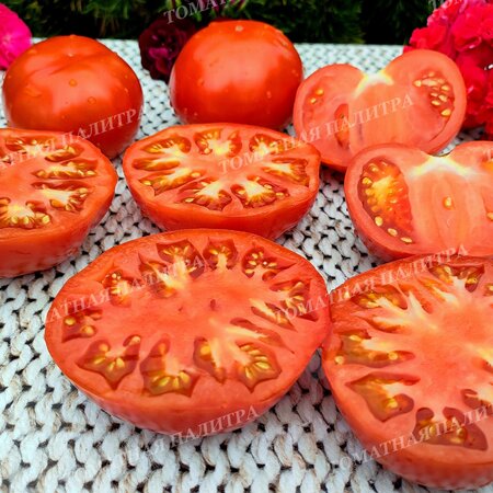 Томат КРАСНЫЙ КОМАР (Алифиров В.Г.)
