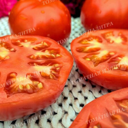 Томат КРАСНЫЙ КОМАР (Алифиров В.Г.)