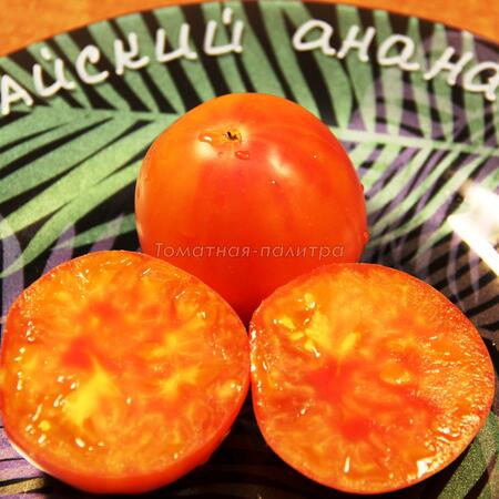 Томат Гавайский ананас (Hawaiian Pineapple), США