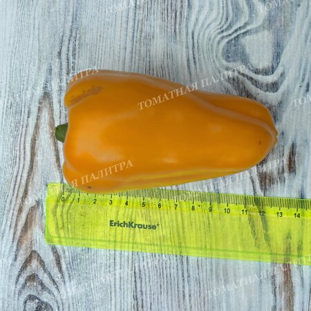 Томат Перец АБРИКОСОВАЯ ФАВОРИТКА