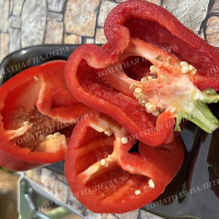 Томат Перец БЕЛЫЙ БЫК