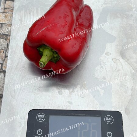 Томат Перец БЛЭК ДЖЕК