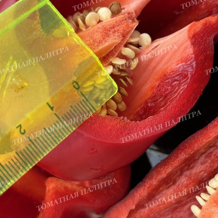 Томат Перец БЛЭК ДЖЕК