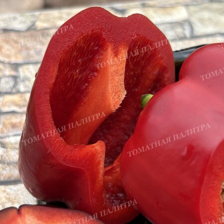Томат Перец БЛЭК ДЖЕК