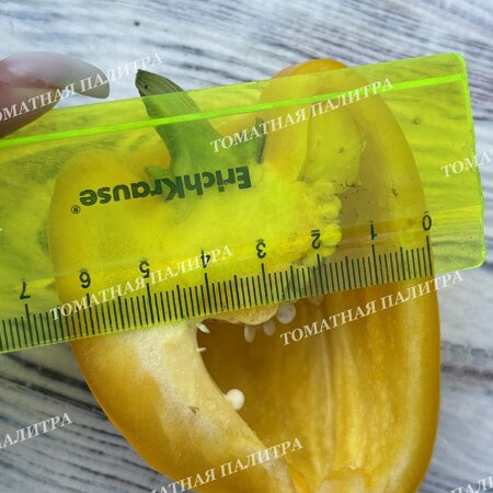 Томат Перец КАЛИФОРНИЯ ВОНДЕР ГОЛД