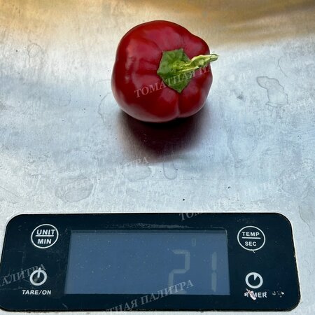 Томат ВАРИЕГАТНЫЙ МИНИКОЛОКОЛЬЧИК (Mini Bell Variegated)