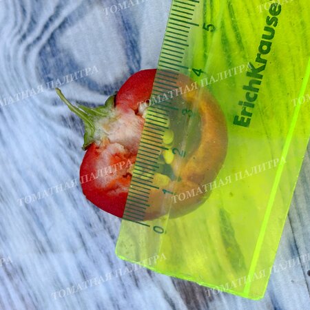 Томат ВАРИЕГАТНЫЙ МИНИКОЛОКОЛЬЧИК (Mini Bell Variegated)