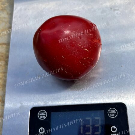 Томат ГОГОШАР КРАСНЫЙ (Gogoscharii Red)