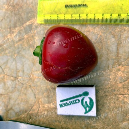 Томат ГОГОШАР КРАСНЫЙ (Gogoscharii Red)