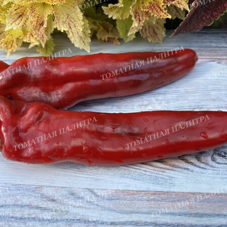 Томат Перец Д’Артаньян.