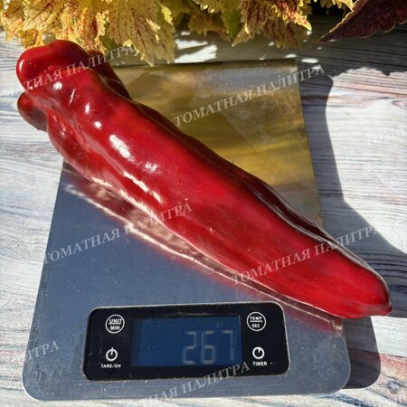 Томат Перец Д’Артаньян.