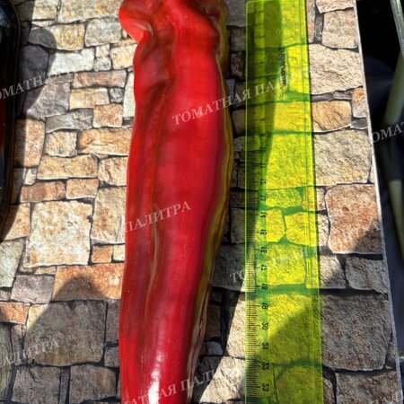 Томат Перец Д’Артаньян.