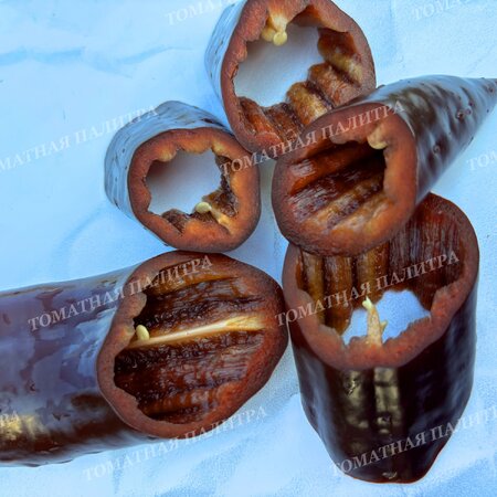 Томат Перец КОРНО ДИ ТОРО ШОКОЛАДНЫЙ (Corno di Toro Chocolate)