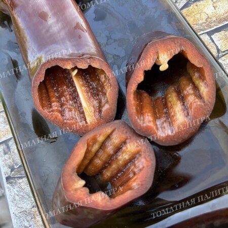 Томат Перец КОРНО ДИ ТОРО ШОКОЛАДНЫЙ (Corno di Toro Chocolate)