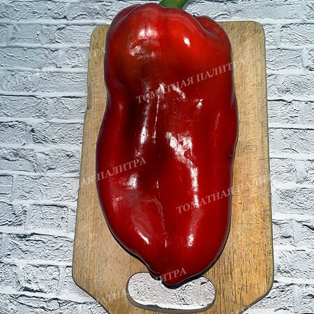 Томат Перец МЕГА ИТАЛИЯ КРАСНАЯ (Mega Italy Red)