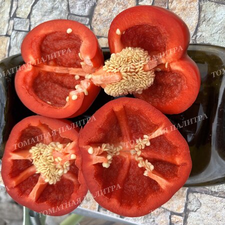 Томат Перец ГОГОШАР НАСТОЯЩИЙ СОВЕТСКИЙ 