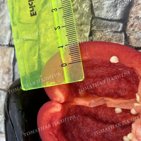 Томат Перец ГОГОШАР НАСТОЯЩИЙ СОВЕТСКИЙ 