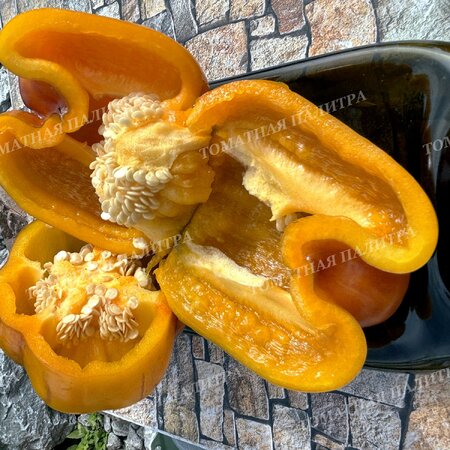 Томат Перец Гэлэкси / Галактика (Galaxy), Бельгия.