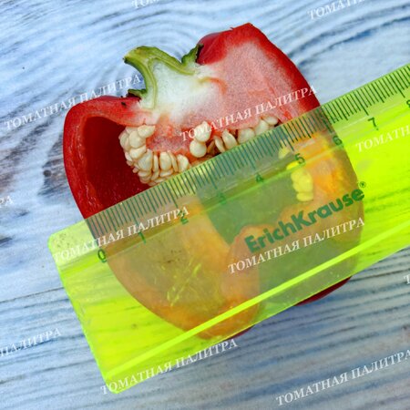 Томат Перец Долма Кандил (Dolma Kandil), Турция.