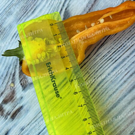 Томат Перец Маркони Золотой (Marconi Golden), Италия.