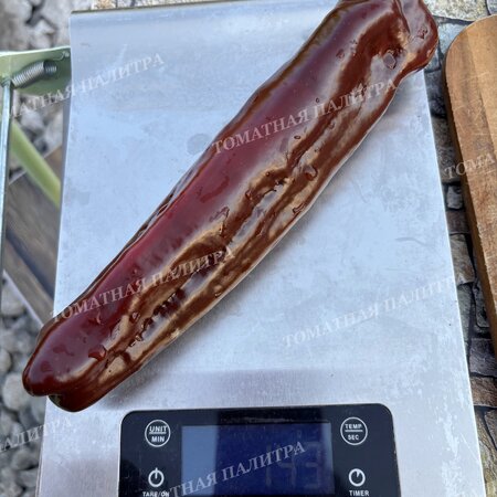 Томат Перец Палермо шоколадный (Palermo Сhocolate)