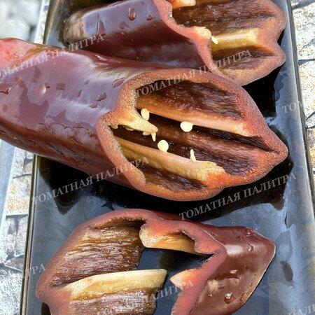 Томат Перец Палермо шоколадный (Palermo Сhocolate)