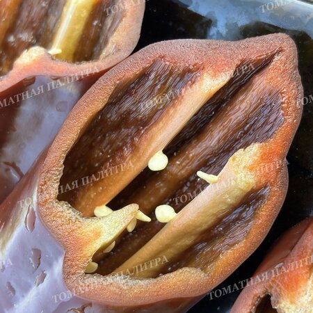 Томат Перец Палермо шоколадный (Palermo Сhocolate)