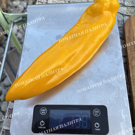 Томат Перец Палермо ЖЕЛТЫЙ (Palermo Yellow)