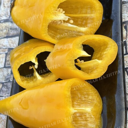 Томат Перец Палермо ЖЕЛТЫЙ (Palermo Yellow)