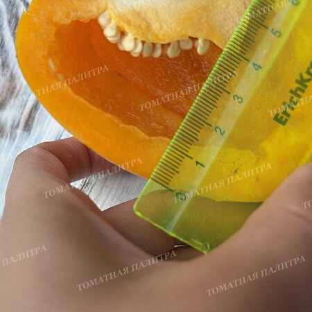 Томат Перец ГОГОШАР ЖЕЛТЫЙ