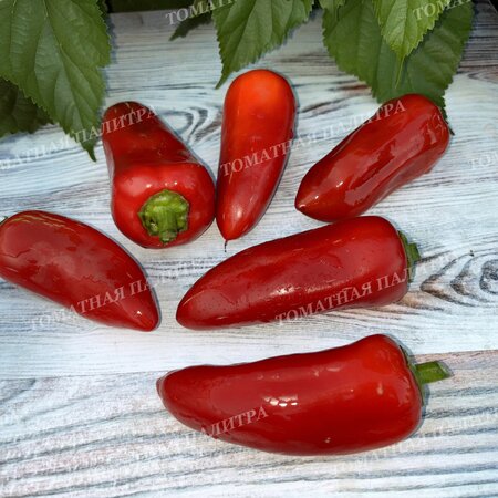 Томат Перец Красный Галстук