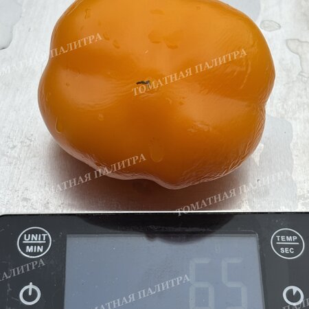 Томат Перец Голден Рэйн / Золотой дождь (Golden Rain)