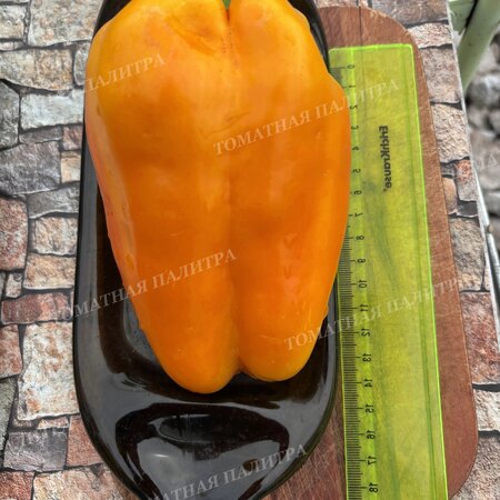 Томат Перец КАКАДУ ОРАНЖЕВЫЙ
