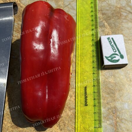 Томат Перец КРОМО РЕД (Kromo Red)