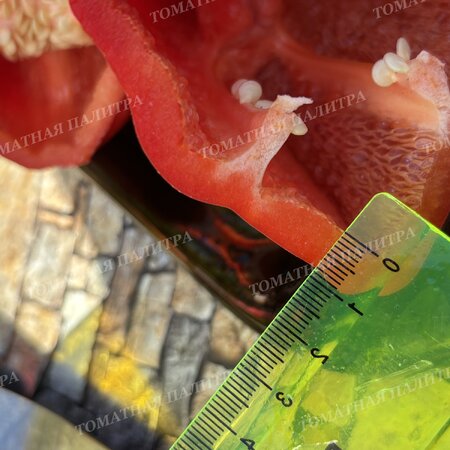 Томат Перец КРОМО РЕД (Kromo Red)