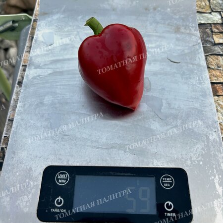 Томат Перец ЛИТТЛ ХЭТ / МАЛЕНЬКОЕ СЕРДЦЕ (Little Heart)