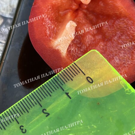 Томат Перец ЛИТТЛ ХЭТ / МАЛЕНЬКОЕ СЕРДЦЕ (Little Heart)