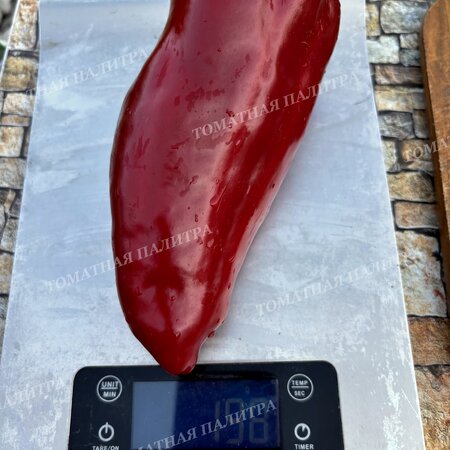Томат Перец КРАСНЫЙ ГИГАНТ ДЖОРДЖИИ (Red Giant Georgia), США