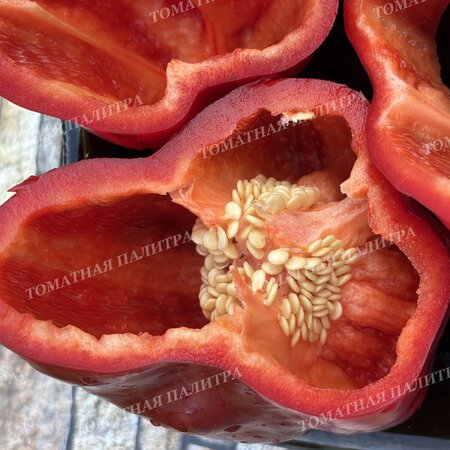 Томат Перец КРАСНЫЙ ГИГАНТ ДЖОРДЖИИ (Red Giant Georgia), США