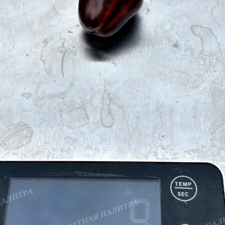 Томат Перец МАДАМ ПАРАПЛЮ (Madame Paraplu), Австрия