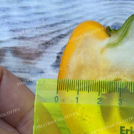 Томат Перец МАРТА ПОЛЬКА (Marta Polka), Польша.