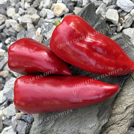Томат Перец МЕРСЕДЕС 