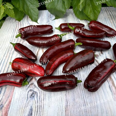 Томат Перец МОККО СВИРЛ / ВОДОВОРОТ МОККО (Mocha Swirl)