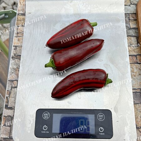 Томат Перец МОККО СВИРЛ / ВОДОВОРОТ МОККО (Mocha Swirl)