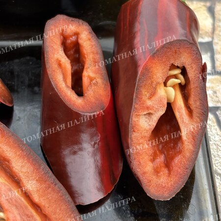 Томат Перец МОККО СВИРЛ / ВОДОВОРОТ МОККО (Mocha Swirl)