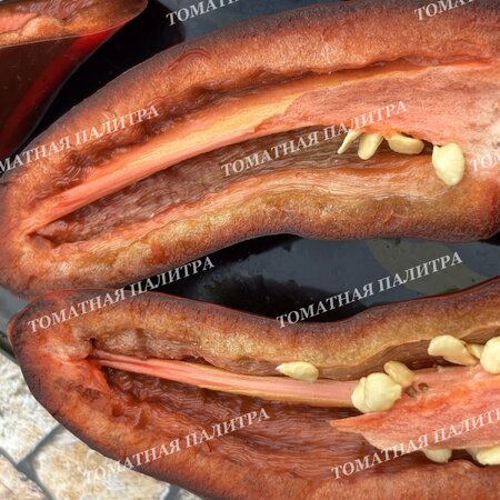 Томат Перец МОККО СВИРЛ / ВОДОВОРОТ МОККО (Mocha Swirl)