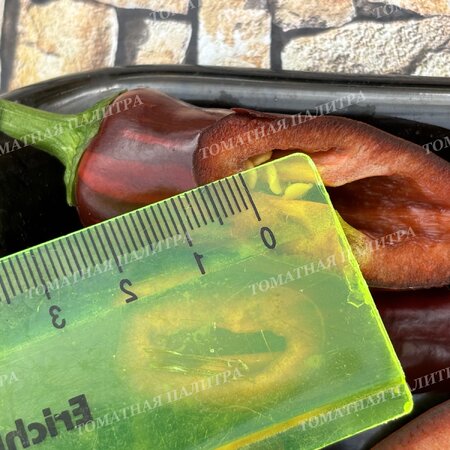 Томат Перец МОККО СВИРЛ / ВОДОВОРОТ МОККО (Mocha Swirl)