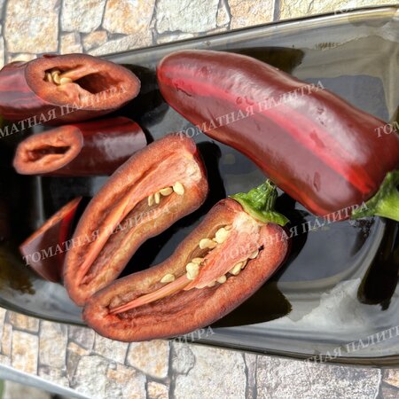 Томат Перец МОККО СВИРЛ / ВОДОВОРОТ МОККО (Mocha Swirl)