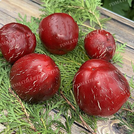 Томат Перец Ратунда Красная (Ratund Red)