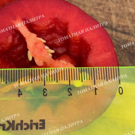 Томат Перец Ратунда Красная (Ratund Red)